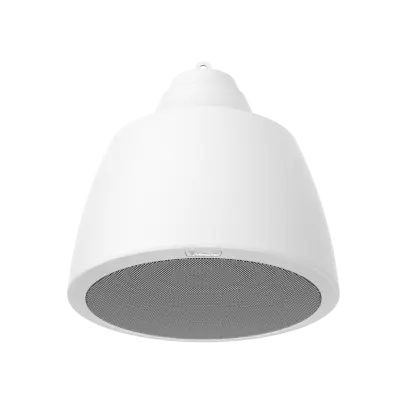 13455-spa-p100w SPA-P100W