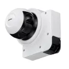 14605-rls-2020v