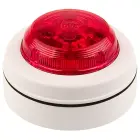 9554-sqmsb_rl_w.2325775265